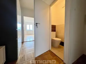 Prodej bytu 1+1, Brno, Merhautova, 48 m2