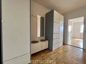 Prodej bytu 1+1, Brno, Merhautova, 48 m2