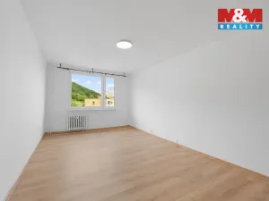 Pronájem bytu 1+1, Ústí nad Labem, Jizerská, 42 m2
