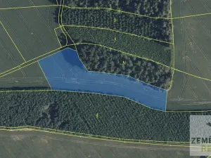 Prodej pole, Doubravice, 36202 m2