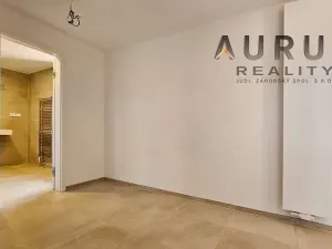 Pronájem bytu 2+kk, Praha - Nusle, Bělehradská, 107 m2