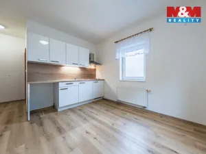 Prodej bytu 1+kk, Šestajovice, Revoluční, 18 m2