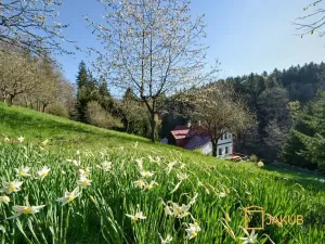Prodej chaty, Vrchlabí, Kněžice, 152 m2
