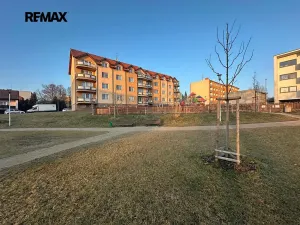 Pronájem bytu 2+1, Kralovice, Na Palcátech, 72 m2
