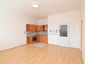 Pronájem bytu 2+kk, České Budějovice, K. V. Raise, 44 m2
