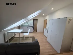 Pronájem bytu 1+kk, Praha - Dejvice, Koulova, 30 m2