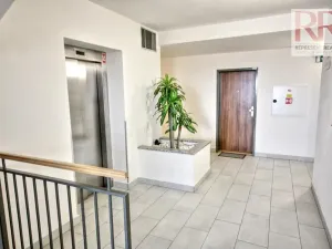 Pronájem bytu 1+kk, Plzeň, U Borských kasáren, 40 m2