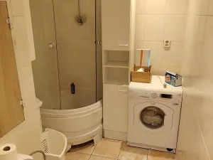 Prodej bytu 2+1, Chomutov, Rooseveltova, 54 m2