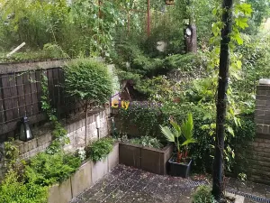 Pronájem bytu 2+kk, Praha - Košíře, Cetyňská, 56 m2