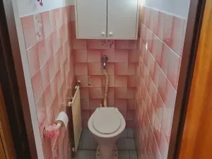 Prodej rodinného domu, Všetaty, Žižkova, 228 m2