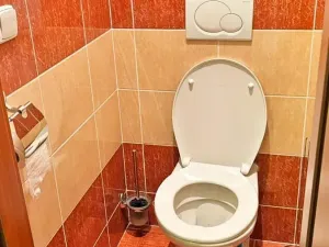 Prodej bytu 3+1, Nový Jičín, Na Lani, 76 m2
