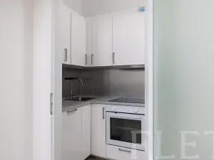 Pronájem bytu 1+kk, Praha - Žižkov, Milíčova, 29 m2