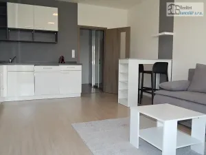 Pronájem bytu 1+kk, Brno, Střední, 38 m2