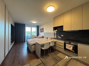 Pronájem bytu 1+kk, Brno, Reissigova, 36 m2