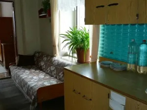 Prodej rodinného domu, Blížejov, 46 m2