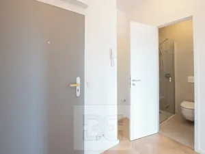 Pronájem bytu 3+kk, Praha - Libeň, Sokolovská, 70 m2