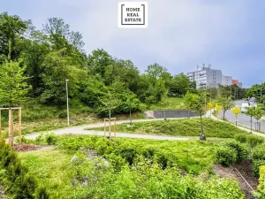 Pronájem bytu 2+kk, Praha - Žižkov, Rixdorfská, 50 m2