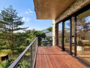 Pronájem bytu 2+kk, Brno, V rejích, 63 m2