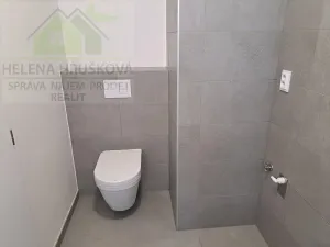 Pronájem bytu 2+kk, Ostrava, Hasičská, 44 m2