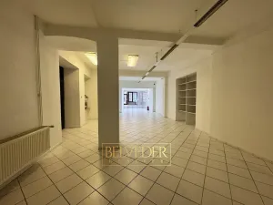 Pronájem obchodního prostoru, Teplice, Masarykova třída, 140 m2