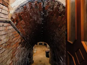 Prodej vinného sklepa, Prušánky, Nechory, 80 m2