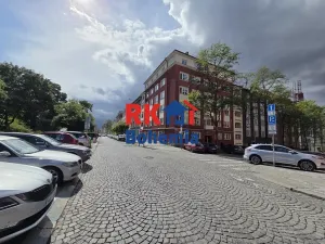 Pronájem bytu 3+kk, Praha - Žižkov, Zelenky-Hajského, 72 m2