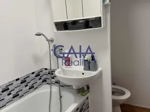 Pronájem bytu 1+1, Hodonín, Lesní, 33 m2