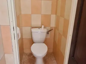 Pronájem bytu 3+1, Praha - Vinohrady, Řipská, 60 m2