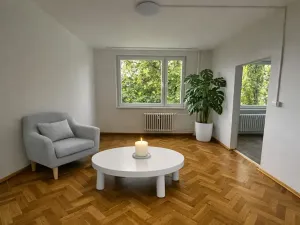 Pronájem bytu 1+1, Litvínov, Čapkova, 38 m2