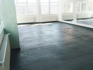 Pronájem obchodního prostoru, Brno, Palackého třída, 311 m2