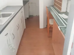 Pronájem obchodního prostoru, Brno, Palackého třída, 311 m2