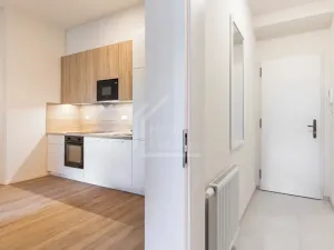 Pronájem bytu 1+kk, Praha - Bubeneč, Veletržní, 37 m2