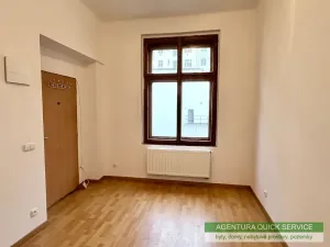 Pronájem bytu 1+1, Praha - Žižkov, Bořivojova, 47 m2
