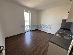 Pronájem bytu 1+1, České Budějovice, Hraniční, 35 m2