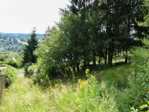 Pronájem zahrady, Stříbrná Skalice, 1015 m2