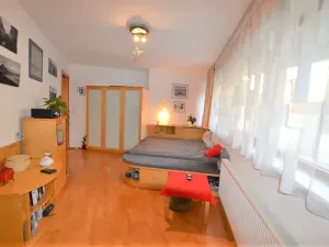 Pronájem bytu 1+kk, Praha - Podolí, Brabcova, 43 m2