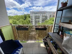 Pronájem bytu 2+1, Praha - Strašnice, Názovská, 60 m2