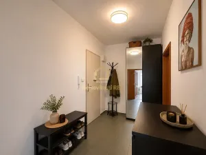Pronájem bytu 1+1, Ostrava, Veleslavínova, 50 m2