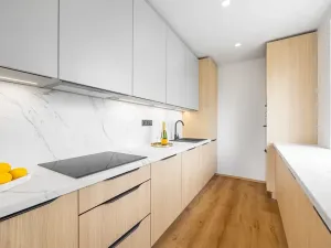 Prodej bytu 3+kk, Praha - Horní Měcholupy, Janovská, 76 m2