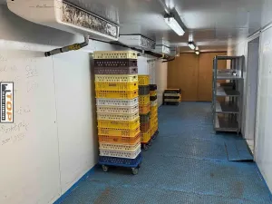 Prodej výrobních prostor, Jirkov, Budovatelů, 690 m2