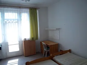 Pronájem bytu 1+1, Brno - Veveří, Bayerova, 27 m2