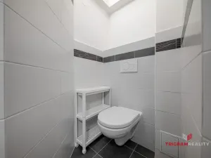 Pronájem bytu 1+kk, Hradec Králové, Dlouhá, 25 m2