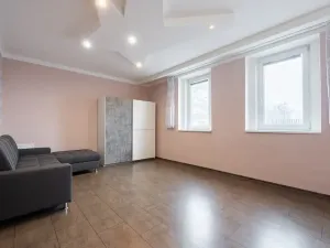 Pronájem bytu 1+1, Krupka, Bohosudovská, 45 m2