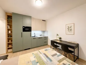 Pronájem bytu 1+kk, Brno, Francouzská, 22 m2