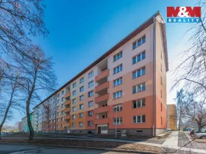 Prodej bytu 1+kk, Horní Slavkov, U Lesoparku, 19 m2