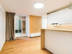 Pronájem bytu 3+kk, Brno, Stavební, 57 m2