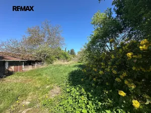 Prodej rodinného domu, Kralovice, Na Palcátech, 220 m2