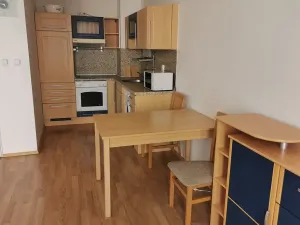 Pronájem bytu 1+kk, Praha - Strašnice, Vinohradská, 43 m2