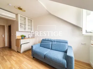 Pronájem bytu 1+kk, Praha - Smíchov, Radlická, 18 m2
