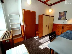 Pronájem bytu, Mirošovice, Karlín, 15 m2
